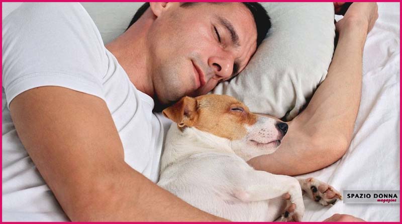 dormire con il cane
