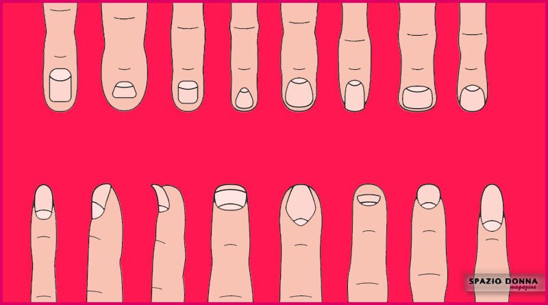 forma delle unghie e delle dita